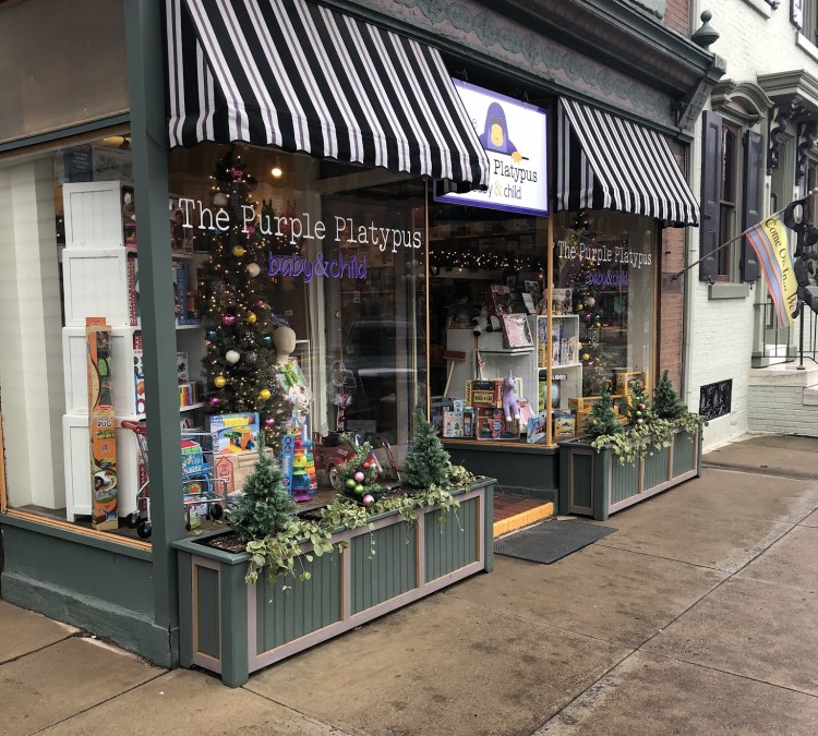 The Purple Platypus Toy Store (Lewisburg,&nbspPA)